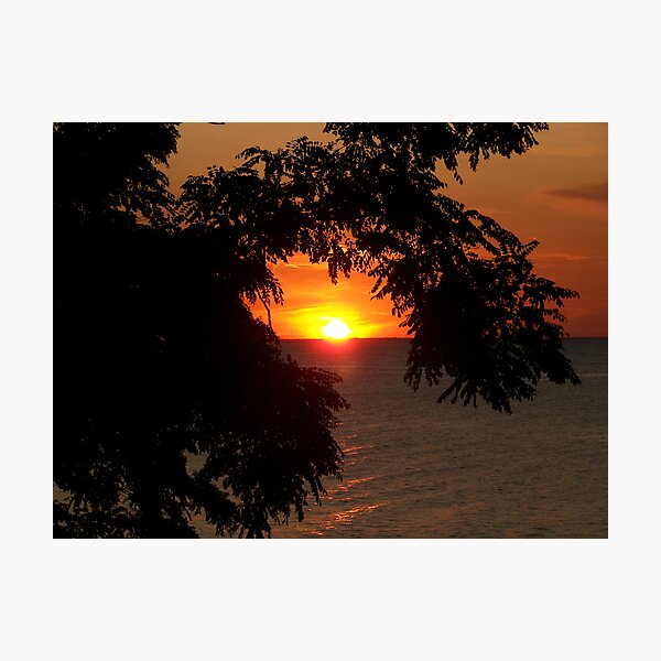 Item preview, Webster Park Sunset designed and sold by madmac57.