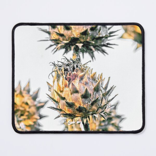 Item preview, Dying Thistles  designed and sold by George Kelsey.