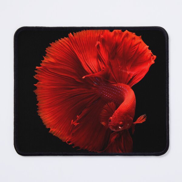 Item preview, Red betta fish designed and sold by PET-SHIRTS.