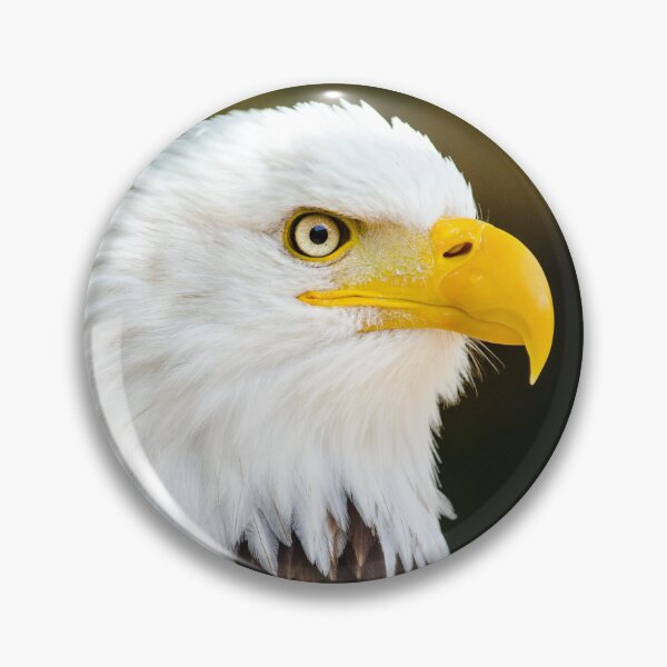 Item preview, Bald eagle designed and sold by PET-SHIRTS.