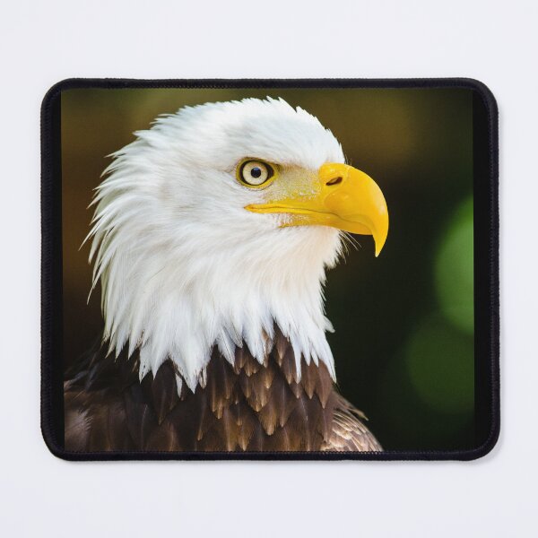 Item preview, Bald eagle designed and sold by PET-SHIRTS.