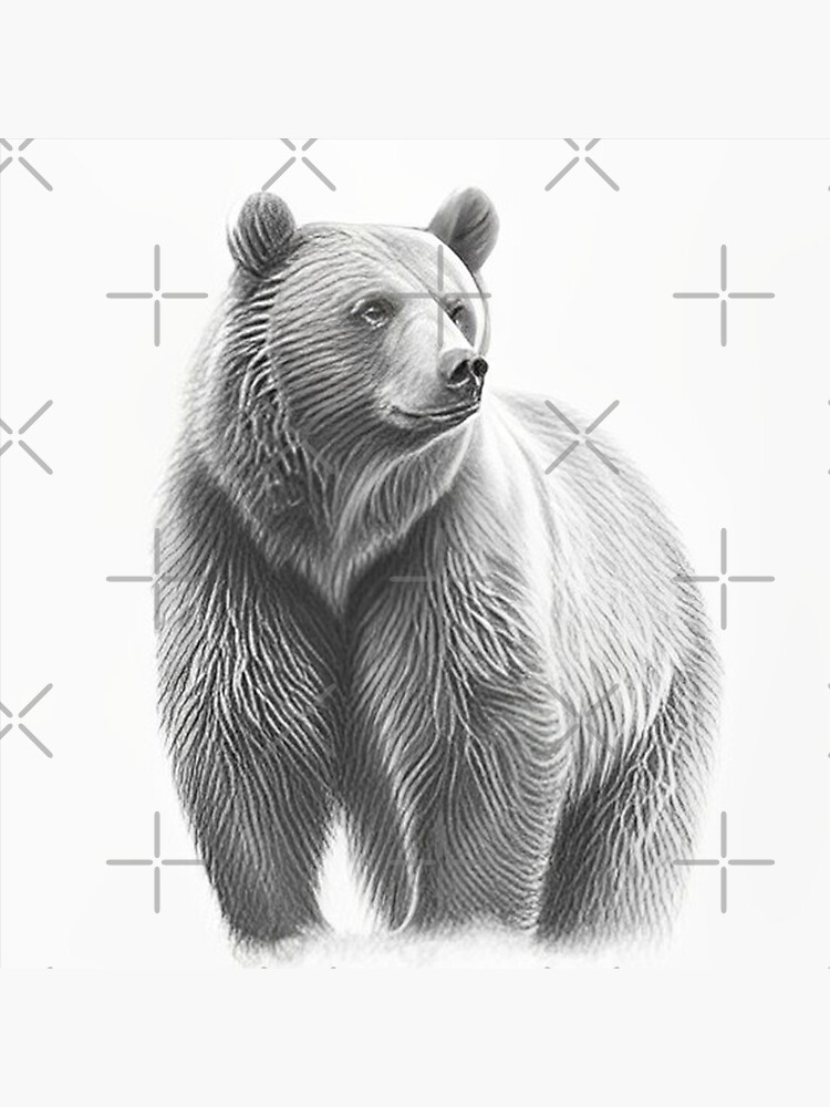 Polar Bear Pencil Drawing  How to Sketch Polar Bear using Pencils   DrawingTutorials101com