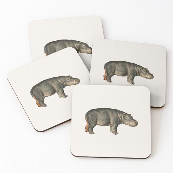 Item preview, Illustrated Hippopotamus - Charles Dessalines D' Orbigny designed and sold by ArchivedRecord.