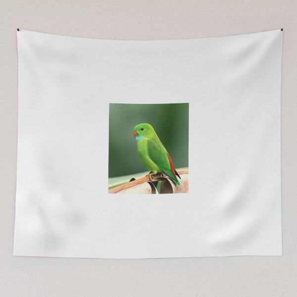 Item preview, Little green bird designed and sold by PET-SHIRTS.