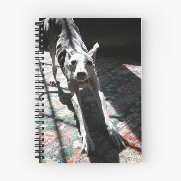 Item preview, The Big Stretch  designed and sold by Rebekah  McLeod.