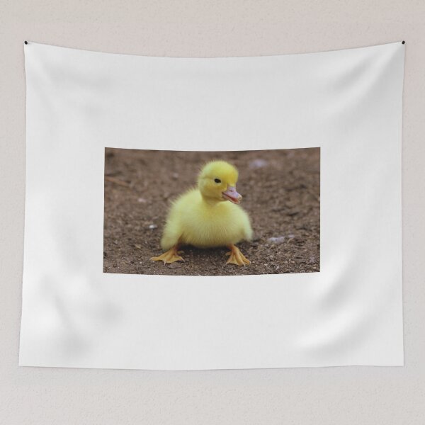 Item preview, Sympathetic duckling designed and sold by PET-SHIRTS.