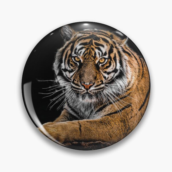 Artikelvorschau, Tiger im Vordergrund entworfen und verkauft von PET-SHIRTS.