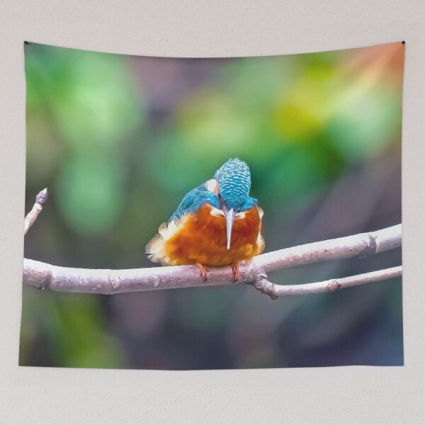 Item preview, Kingfisher waits for dinner to come along designed and sold by George Kelsey.