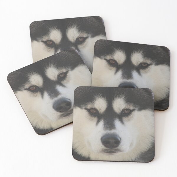 Item preview, Black and White Husky Face designed and sold by KaeruTheHusky.