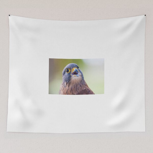 Item preview, Puzzled hawk designed and sold by PET-SHIRTS.