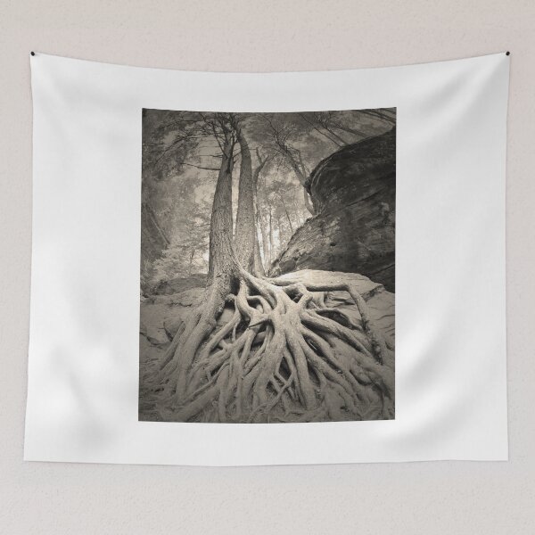 Item preview, The Tangled Web We Weave Black And White designed and sold by LisaWootenPhoto.