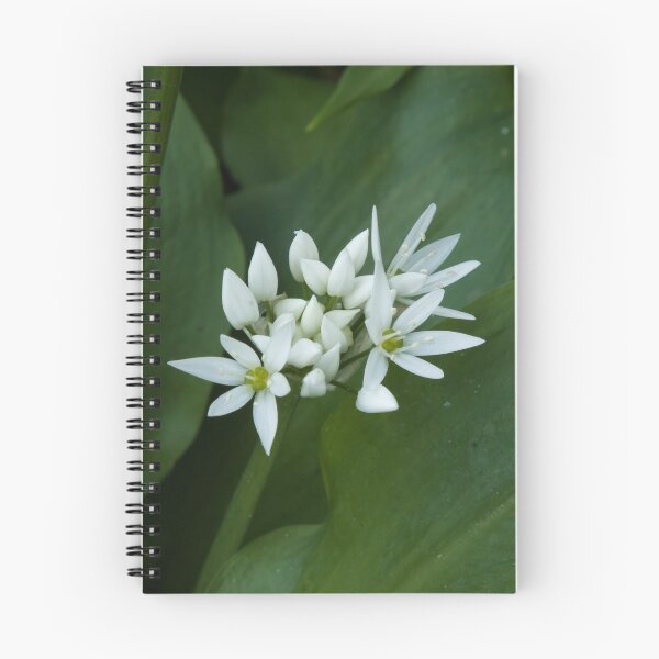 Item preview, Wild Garlic Flowers in Woodland designed and sold by Sue Robinson.