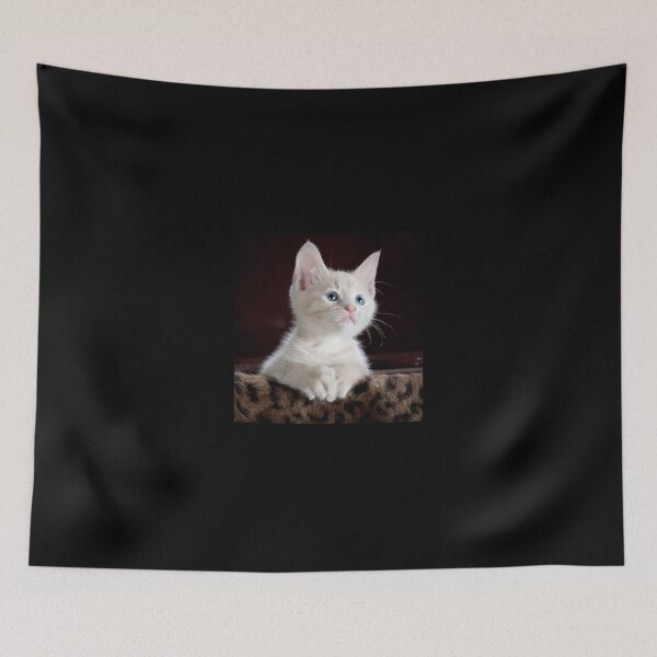 Item preview, White kitten designed and sold by PET-SHIRTS.