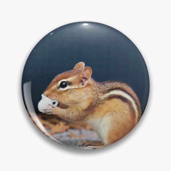 Item preview, Squirrel having tea designed and sold by PET-SHIRTS.