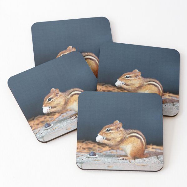 Item preview, Squirrel having tea designed and sold by PET-SHIRTS.