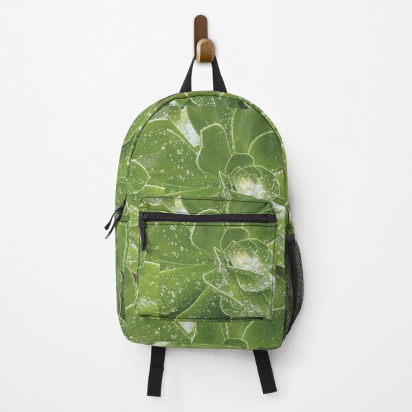 Item preview, Aeonium Plant with raindrops designed and sold by Florrinda.