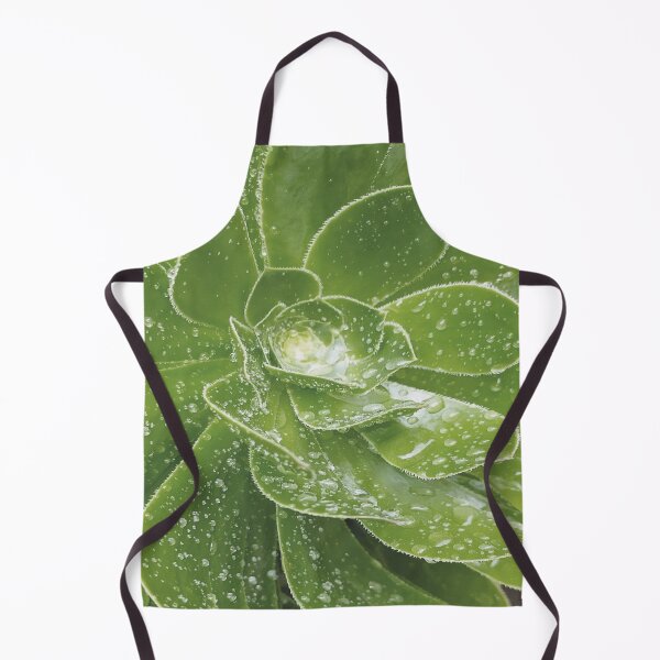 Item preview, Aeonium Plant with raindrops designed and sold by Florrinda.