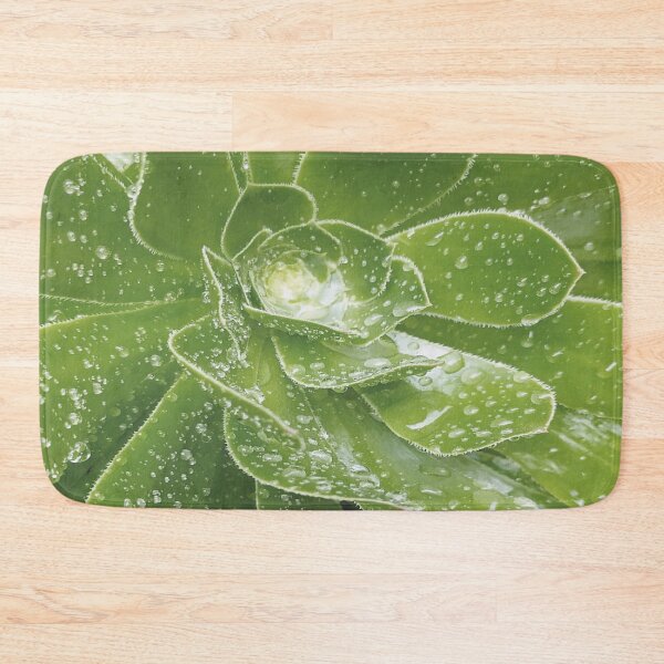 Item preview, Aeonium Plant with raindrops designed and sold by Florrinda.