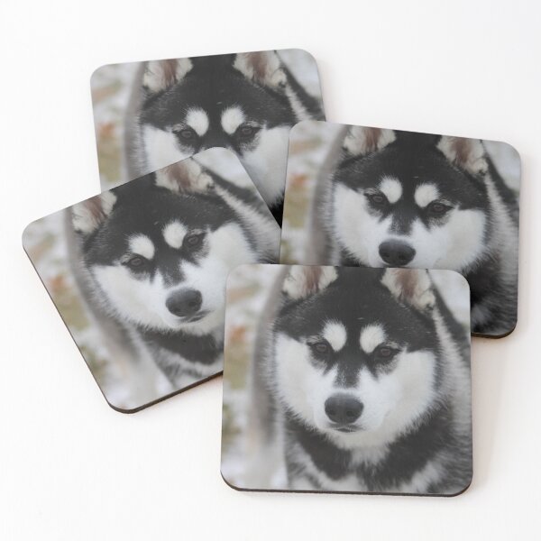 Item preview, Black and White Husky designed and sold by KaeruTheHusky.