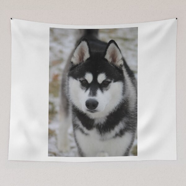 Item preview, Black and White Husky designed and sold by KaeruTheHusky.