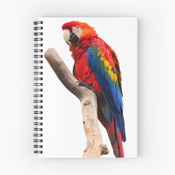 Item preview, Scarlet macaw on a branch designed and sold by PET-SHIRTS.