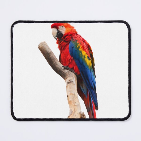 Item preview, Scarlet macaw on a branch designed and sold by PET-SHIRTS.