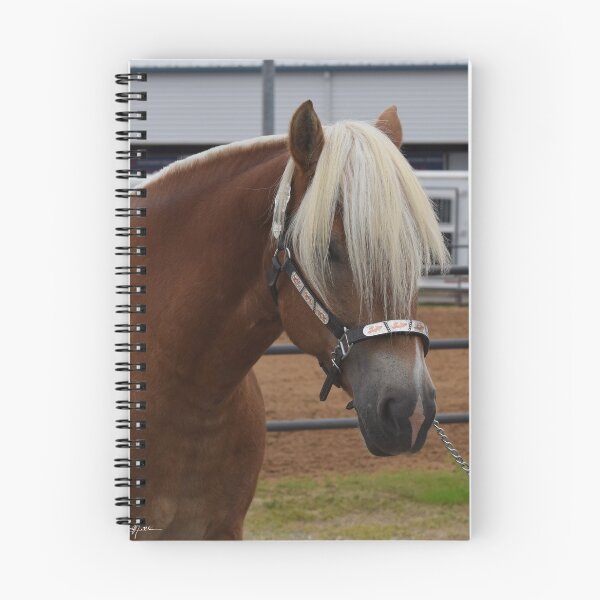 Item preview, Haflinger designed and sold by GhostHorsePhoto.