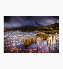 brooding.... by Phil Darby Photographic Print