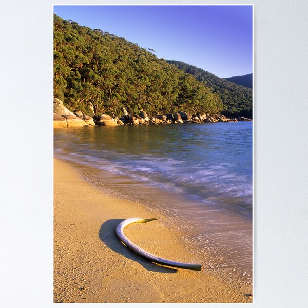 Item preview, Refuge Coves Whaling Past designed and sold by Travis Easton.