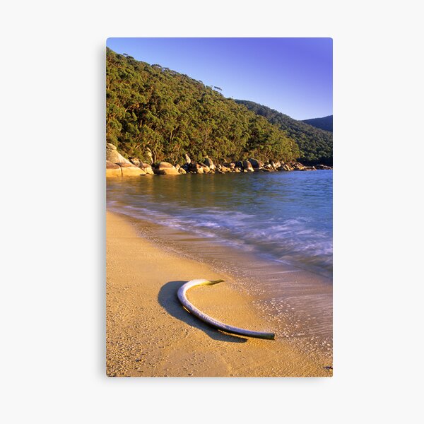 Item preview, Refuge Coves Whaling Past designed and sold by Travis Easton.