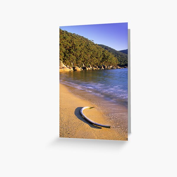 Item preview, Refuge Coves Whaling Past designed and sold by Travis Easton.