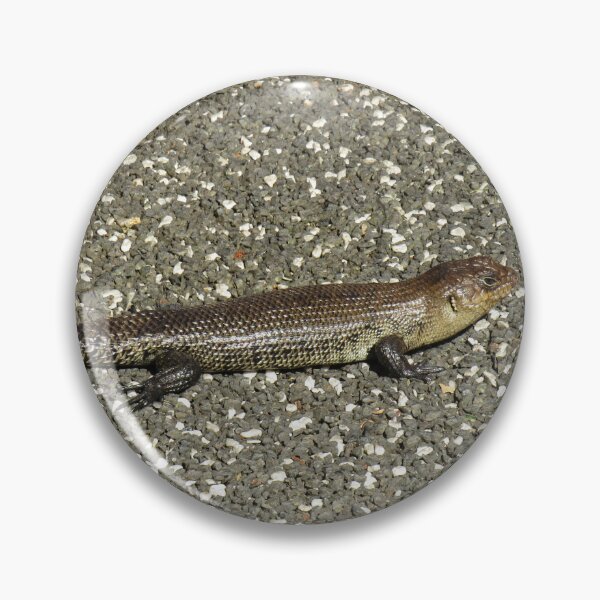Item preview, Cunningham's skink designed and sold by greentiger1.