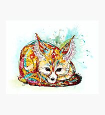 "You're So Foxy" - Fennec Fox Photographic Print
