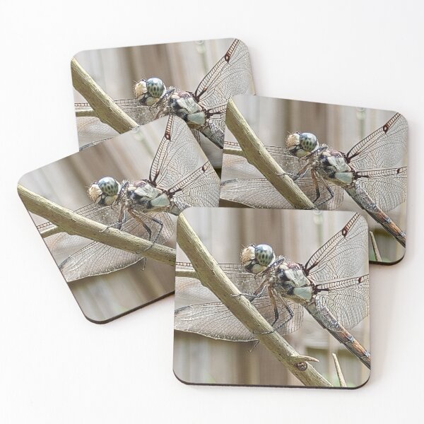 Item preview, Blue skimmer on bougainvillea designed and sold by Bmusicjr.