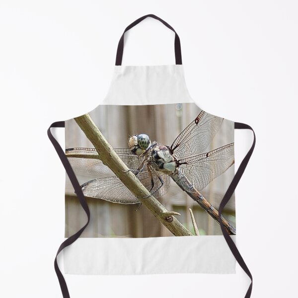 Item preview, Blue skimmer on bougainvillea designed and sold by Bmusicjr.