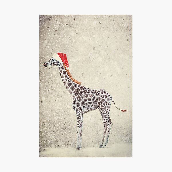 Christmas Giraffe Photographic Print