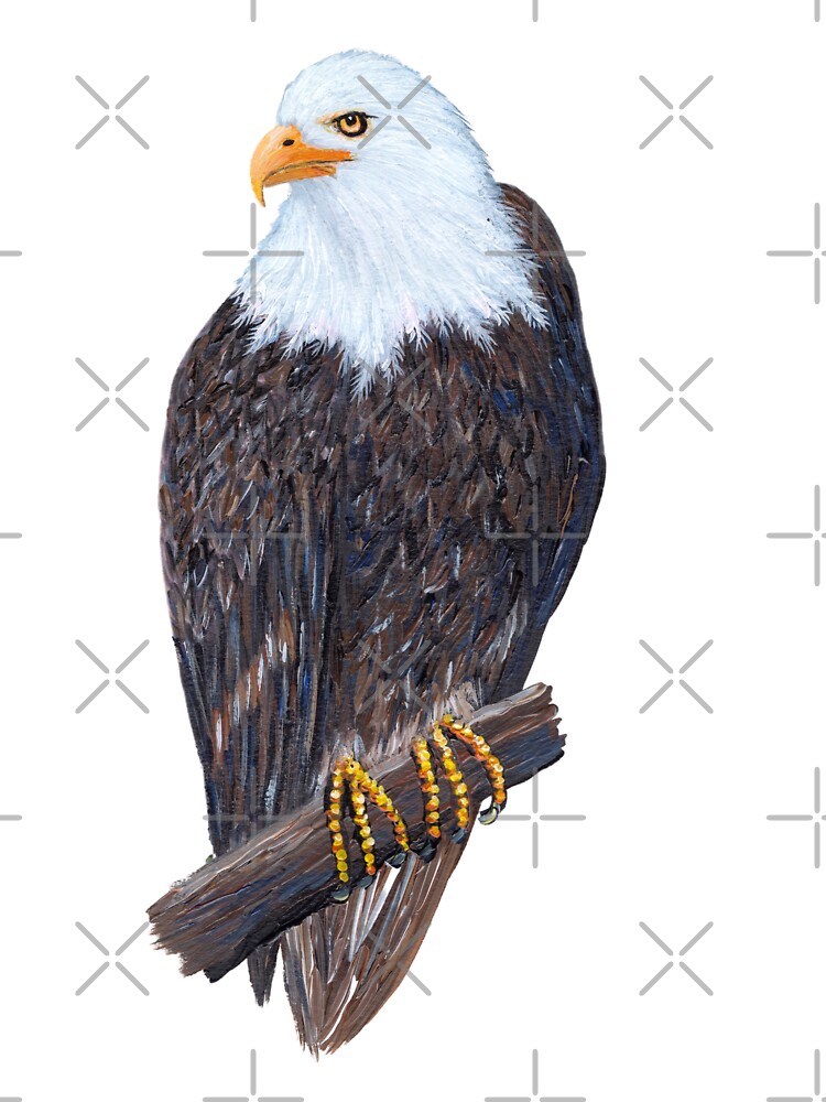 A Fun Family of Bald Eagles - A Coloring Page for Kids