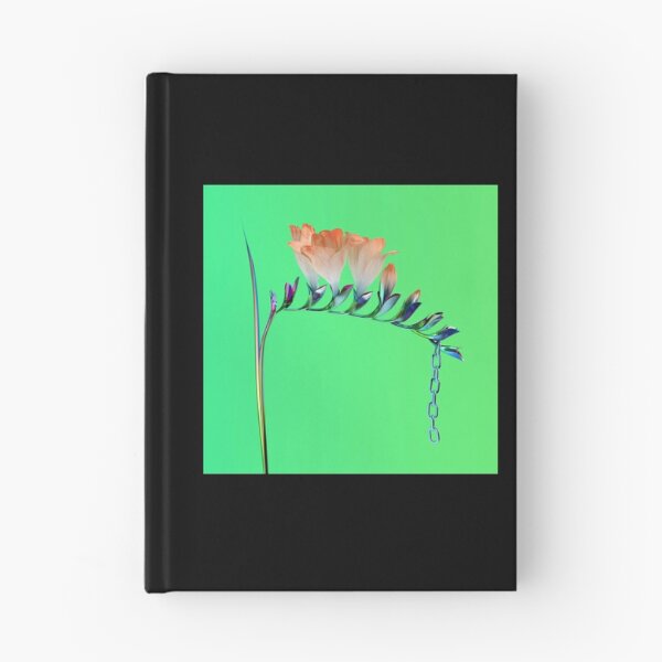Item preview, Flume - Skin Companion EP I   designed and sold by JuanaSoundwave.