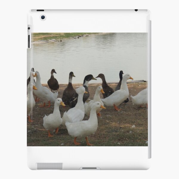 The dUCk Group - We have a matching iPad cover, @wonderhana! 😍 I