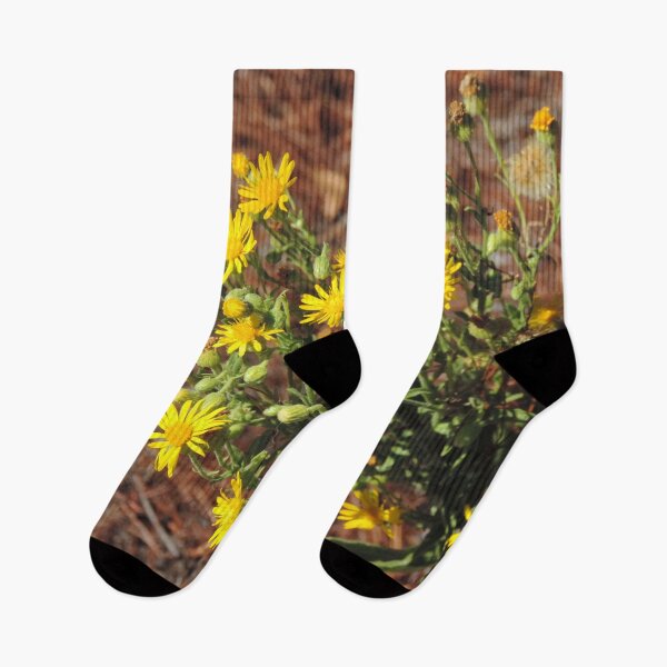 Item preview, Wildflowers on the trail designed and sold by Jmb67.
