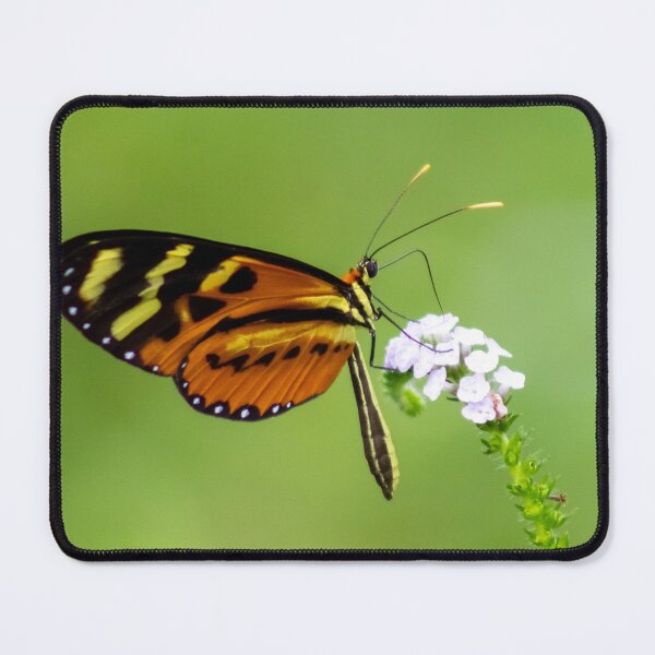 Item preview,  the butterfly on a flower designed and sold by ricobarinas.
