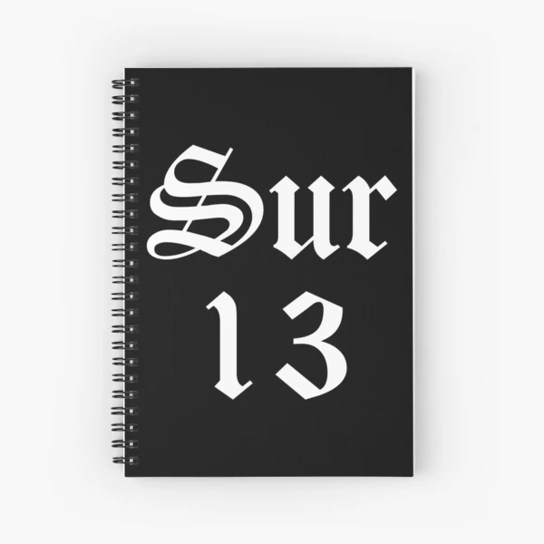 SUREÑOS13です。 Sur 13 Surenos