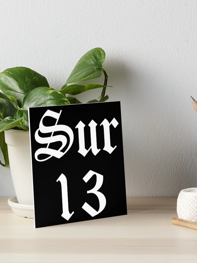 Sur 13 Surenos