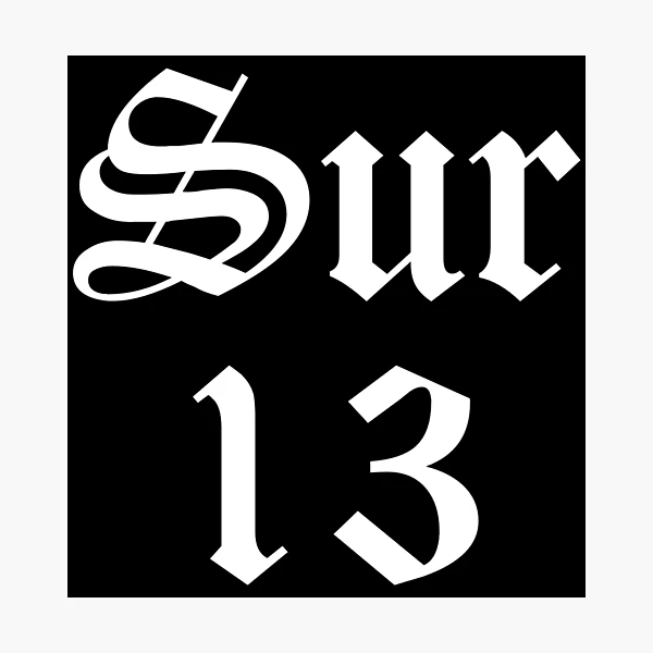 pp,504x498-pad,600x600,f8f8f8.webp