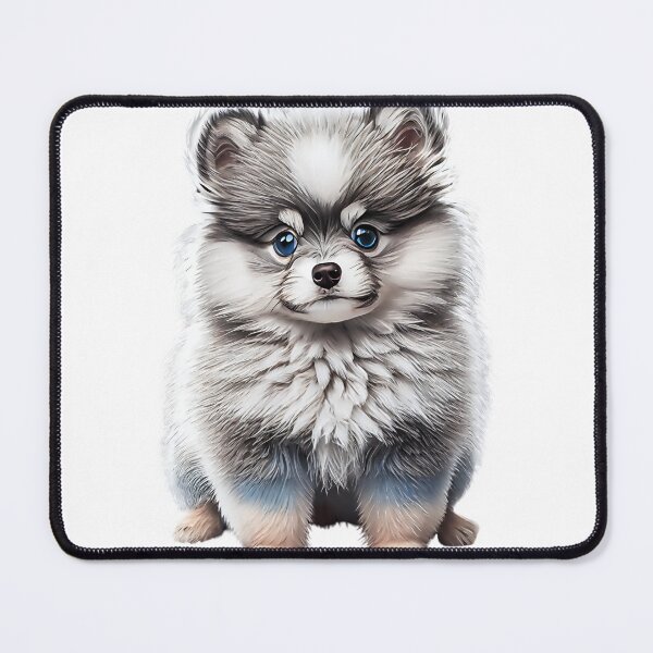 Item preview, Cute blue-eyed Pomsky/Mini Husky Puppy digital art drawing for printables designed and sold by BHC-P.
