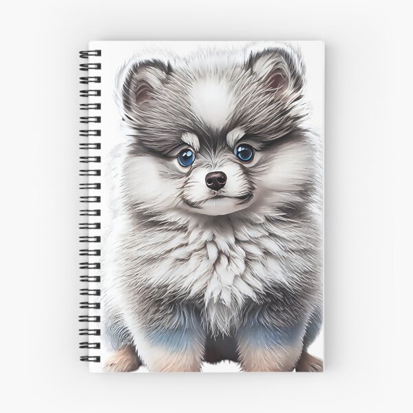 Item preview, Cute blue-eyed Pomsky/Mini Husky Puppy digital art drawing for printables designed and sold by BHC-P.