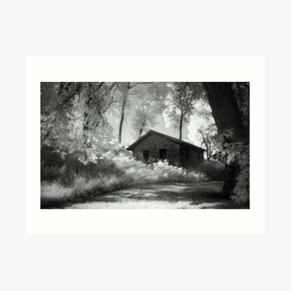 Moss and an Old Manse Art Print