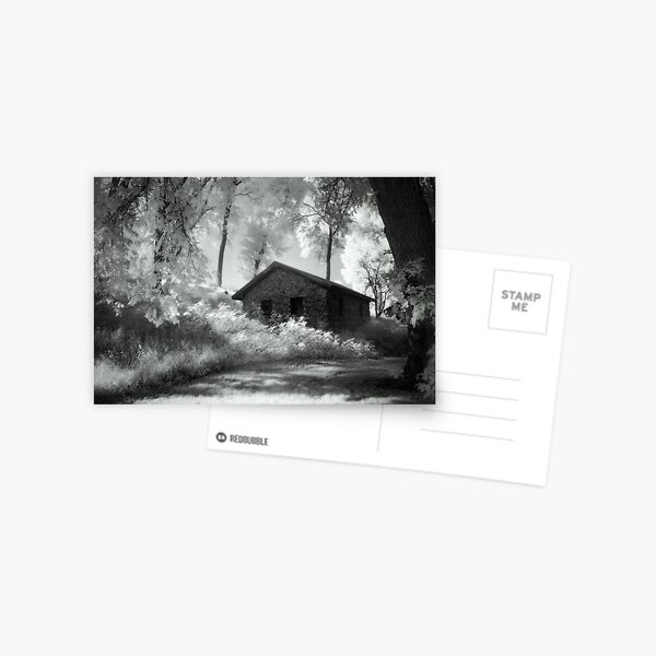 Moss and an Old Manse Postcard