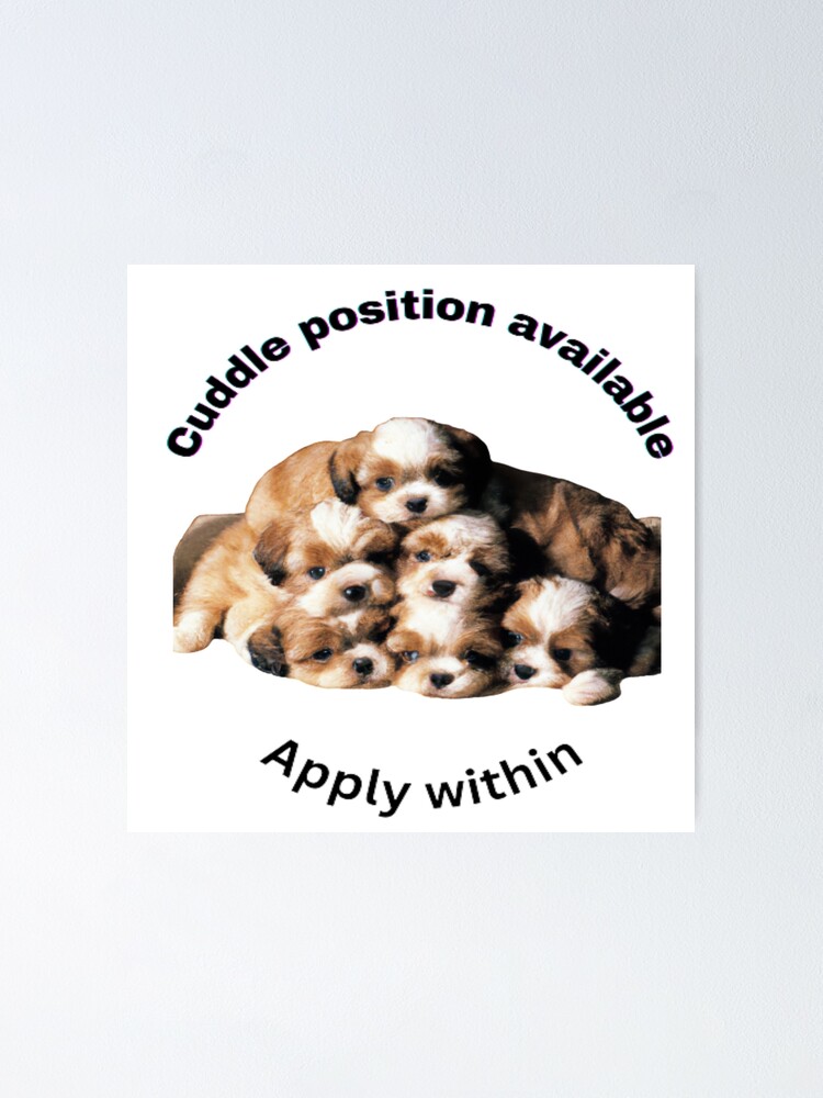 Cuddle Positions Chart Cuddle Positions Chart