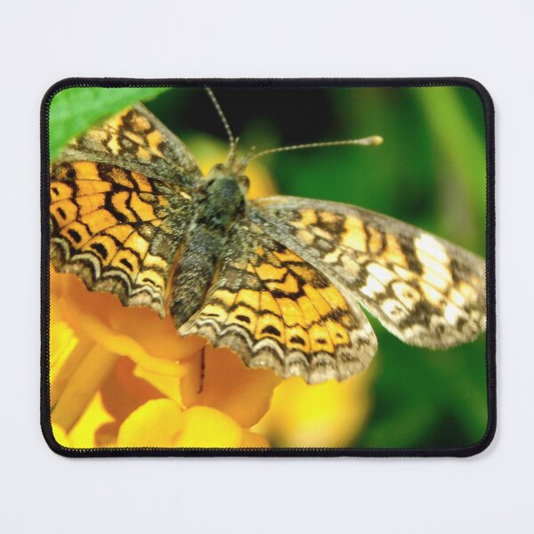 Item preview, Little Butterfly designed and sold by Hannah Ryman.